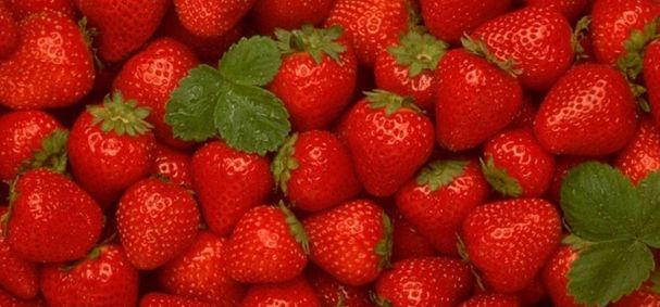 strawberries